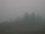 07 : 49