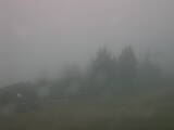 08 : 41