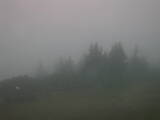 08 : 53