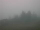13 : 21