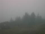 16 : 13