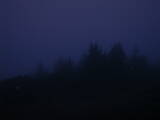 04 : 29