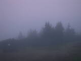 04 : 49