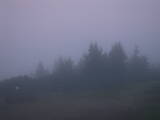 05 : 05