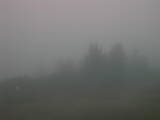 06 : 33