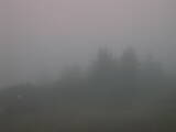 06 : 37