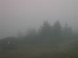 06 : 53