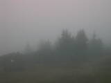 07 : 33