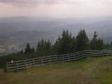 16 : 25