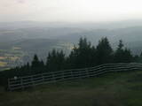 19 : 29