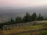 19 : 49