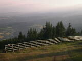 19 : 53