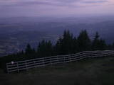 21 : 29
