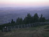 06 : 05