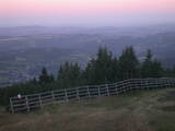 05 : 49