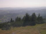16 : 29