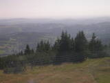 16 : 33