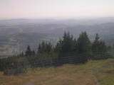 16 : 49