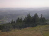 17 : 17