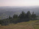17 : 29