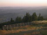 19 : 53