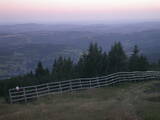 20 : 17