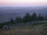 20 : 21