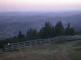 20 : 25