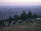 20 : 29