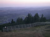 20 : 33