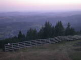 20 : 41