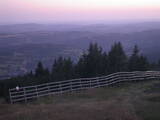 20 : 45