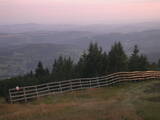 19 : 53