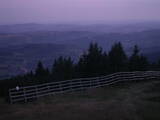 20 : 45