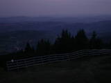20 : 49