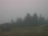 15 : 53