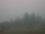 16 : 05