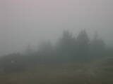 16 : 09