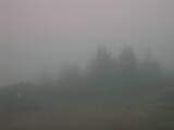 16 : 17