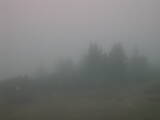 16 : 21