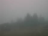 16 : 25