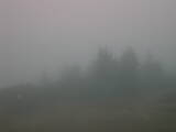 16 : 29