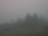 16 : 33