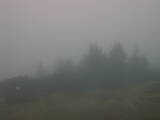 16 : 37