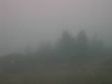 16 : 41