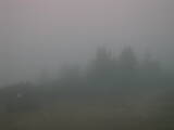 16 : 49