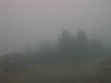 17 : 37