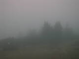 17 : 41