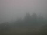 17 : 49