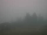17 : 53